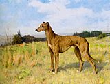 Arthur Wardle Famous Paintings - Champion Greyhound Dee Rock